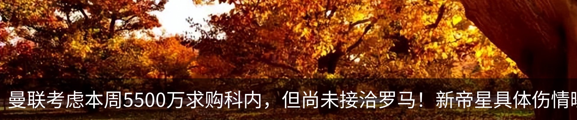 内页banner