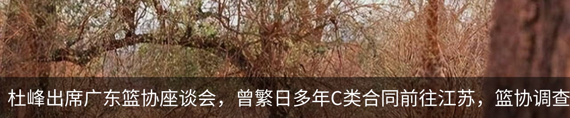 内页banner